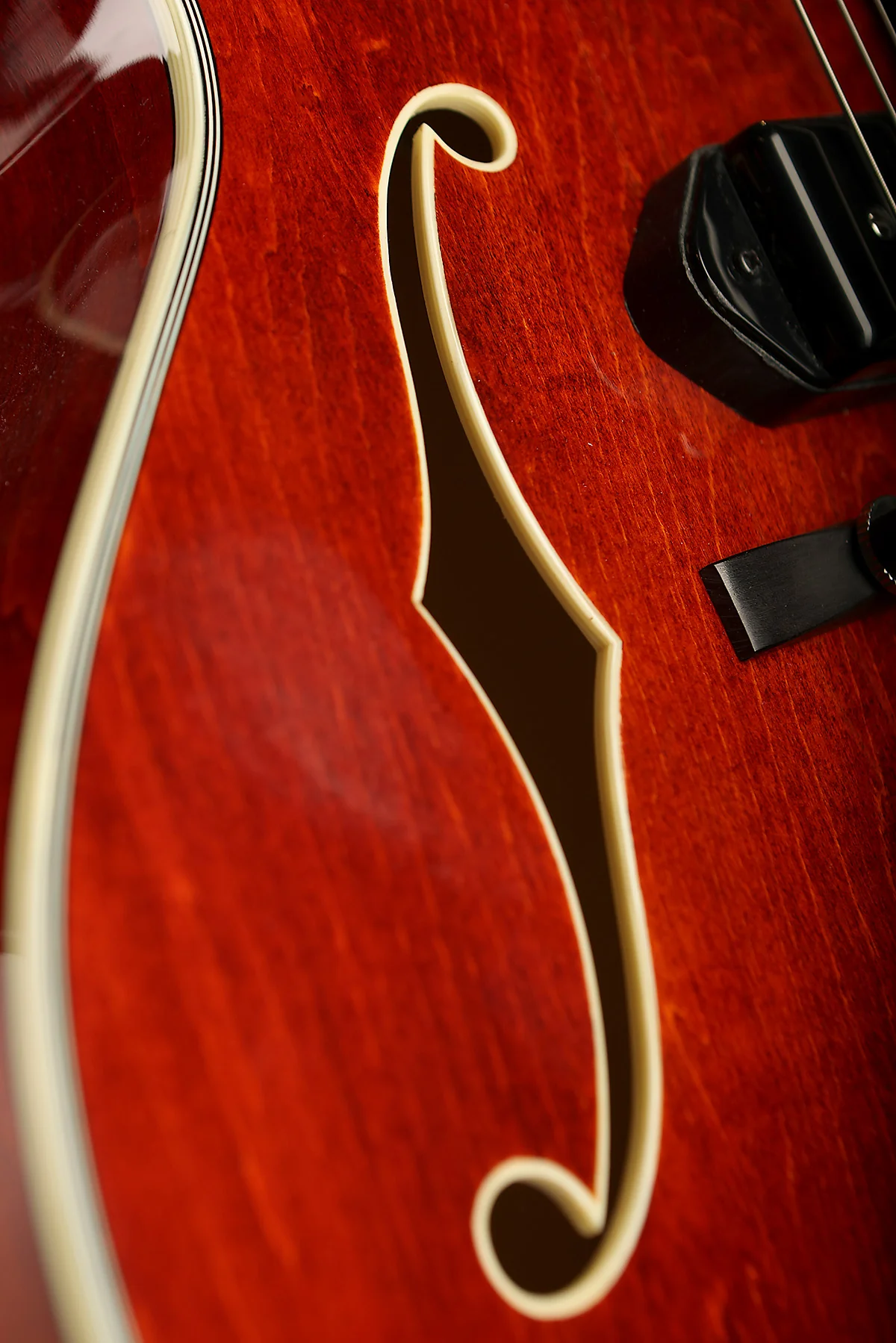 Eastman AR372CE-P90 Limited Edition Archtop Electric Guitar - Image 6
