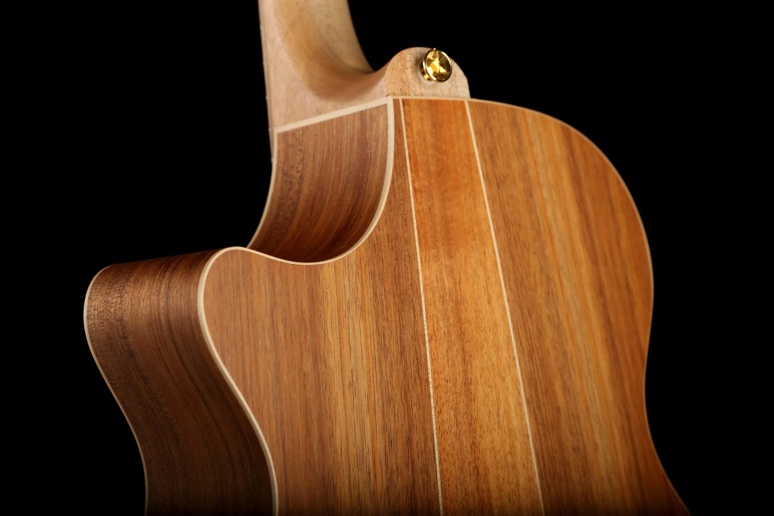 Cole Clark 'Angel' AN2EC RDBL Redwood / Blackwood Acoustic Electric Guitar - Image 12