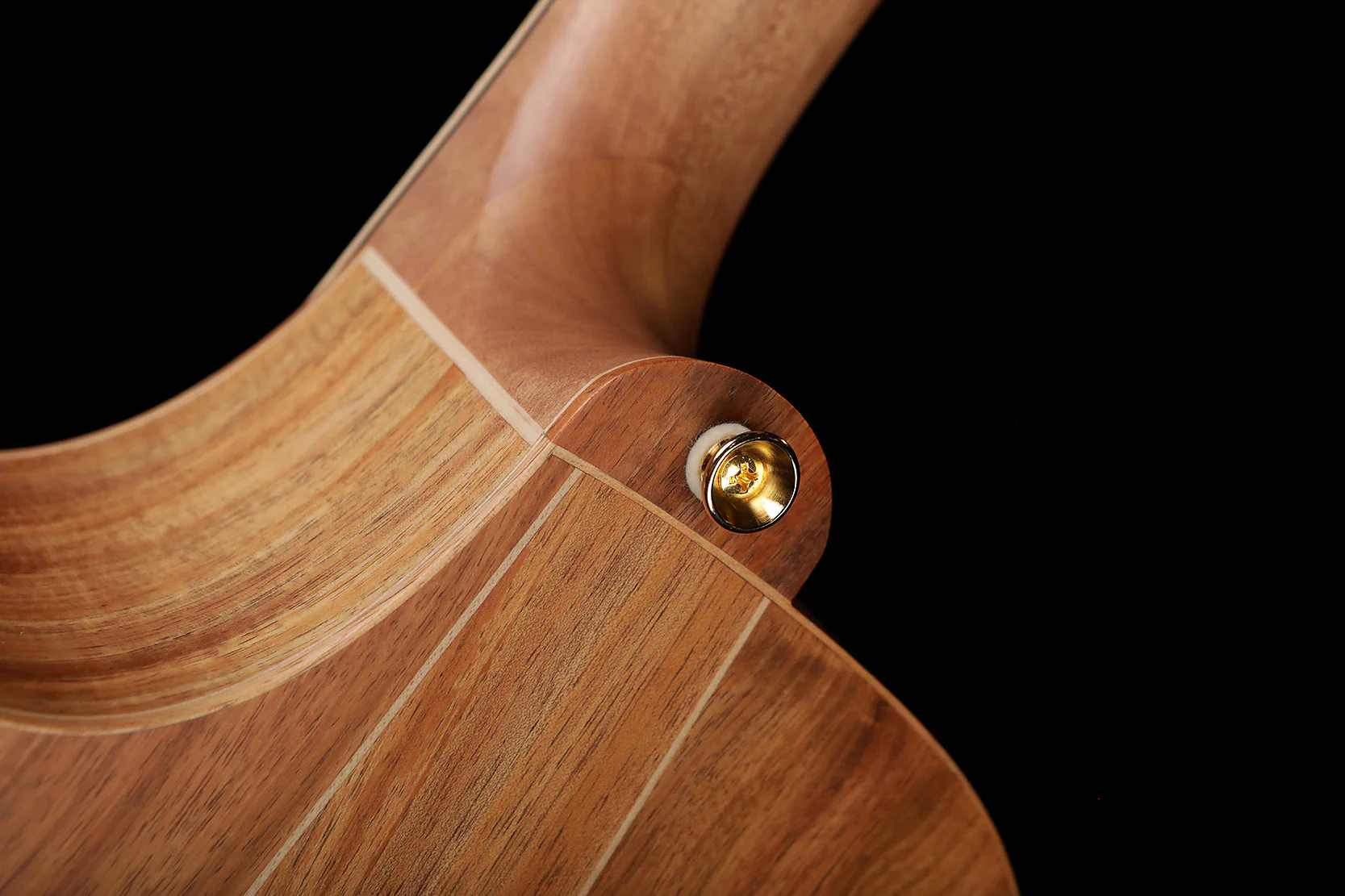 Cole Clark 'Angel' AN3EC-BLBL Blackwood / Blackwood Acoustic Electric Guitar - Image 11
