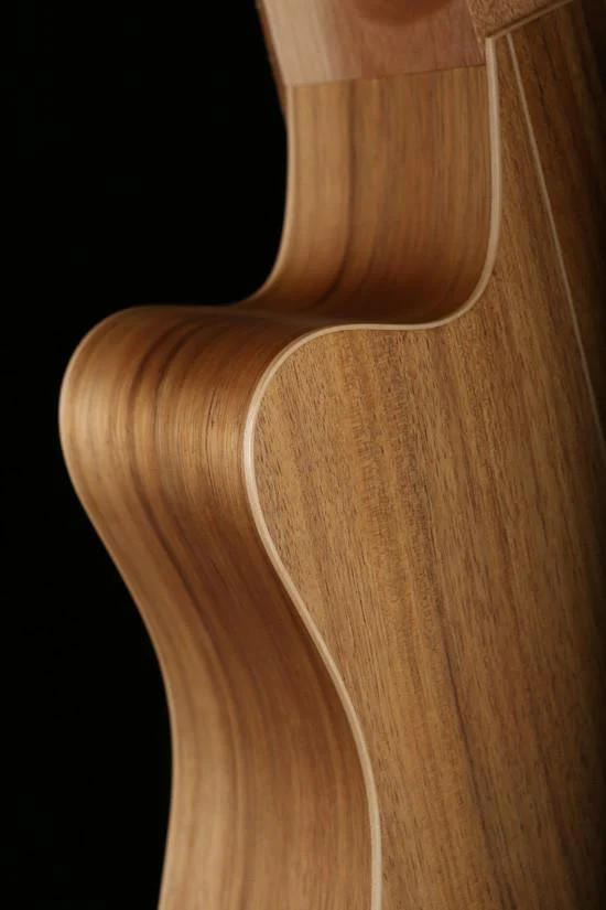 Cole Clark 'Fat Lady'  FL2EC Blackwood / Blackwood Acoustic Electric Guitar - Image 10
