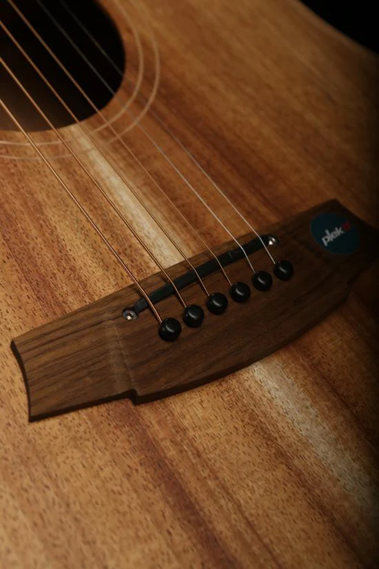 Cole Clark 'Fat Lady'  FL2EC Blackwood / Blackwood Acoustic Electric Guitar - Image 3