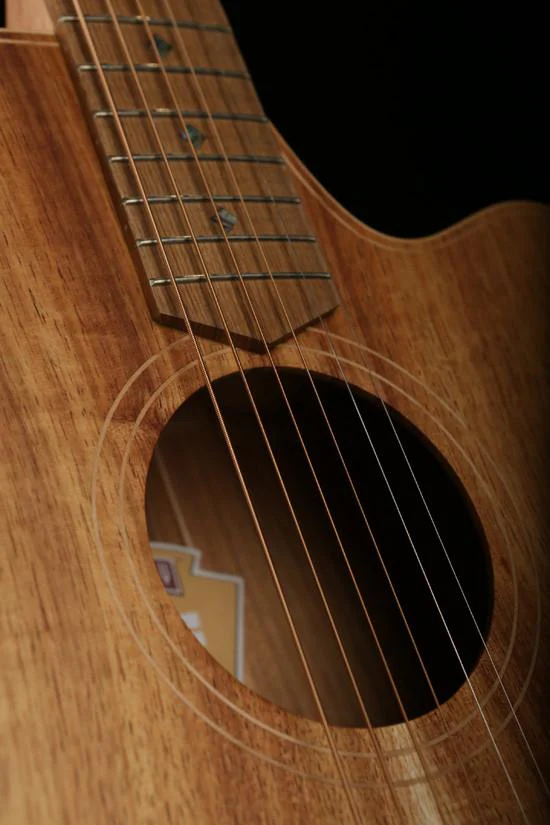 Cole Clark 'Fat Lady'  FL2EC Blackwood / Blackwood Acoustic Electric Guitar - Image 4