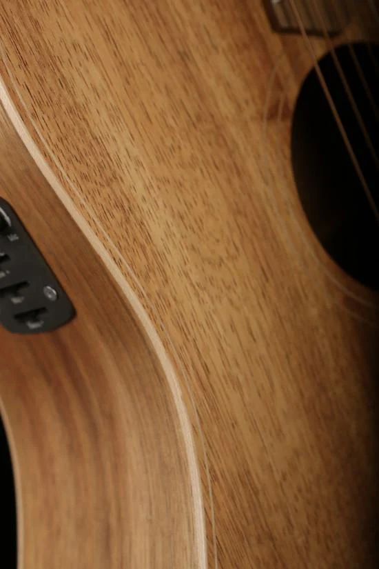 Cole Clark 'Fat Lady'  FL2EC Blackwood / Blackwood Acoustic Electric Guitar - Image 5