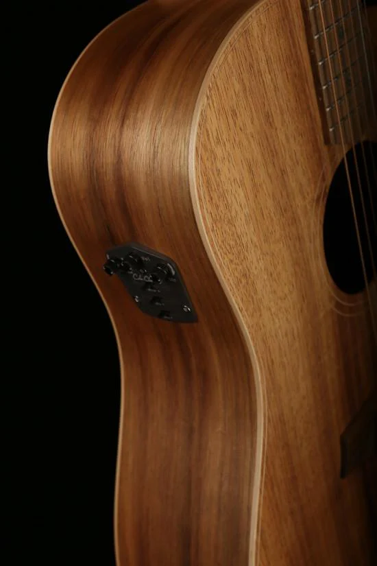 Cole Clark 'Fat Lady'  FL2EC Blackwood / Blackwood Acoustic Electric Guitar - Image 6