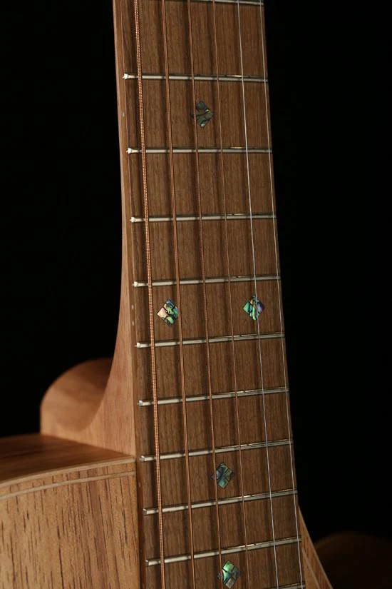 Cole Clark 'Fat Lady'  FL2EC Blackwood / Blackwood Acoustic Electric Guitar - Image 8