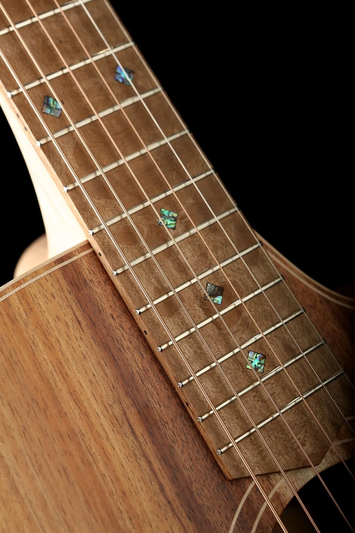 Cole Clark 'Fat Lady' FL2EC Blackwood / Blackwood Humbucker Acoustic Electric Guitar - Image 3