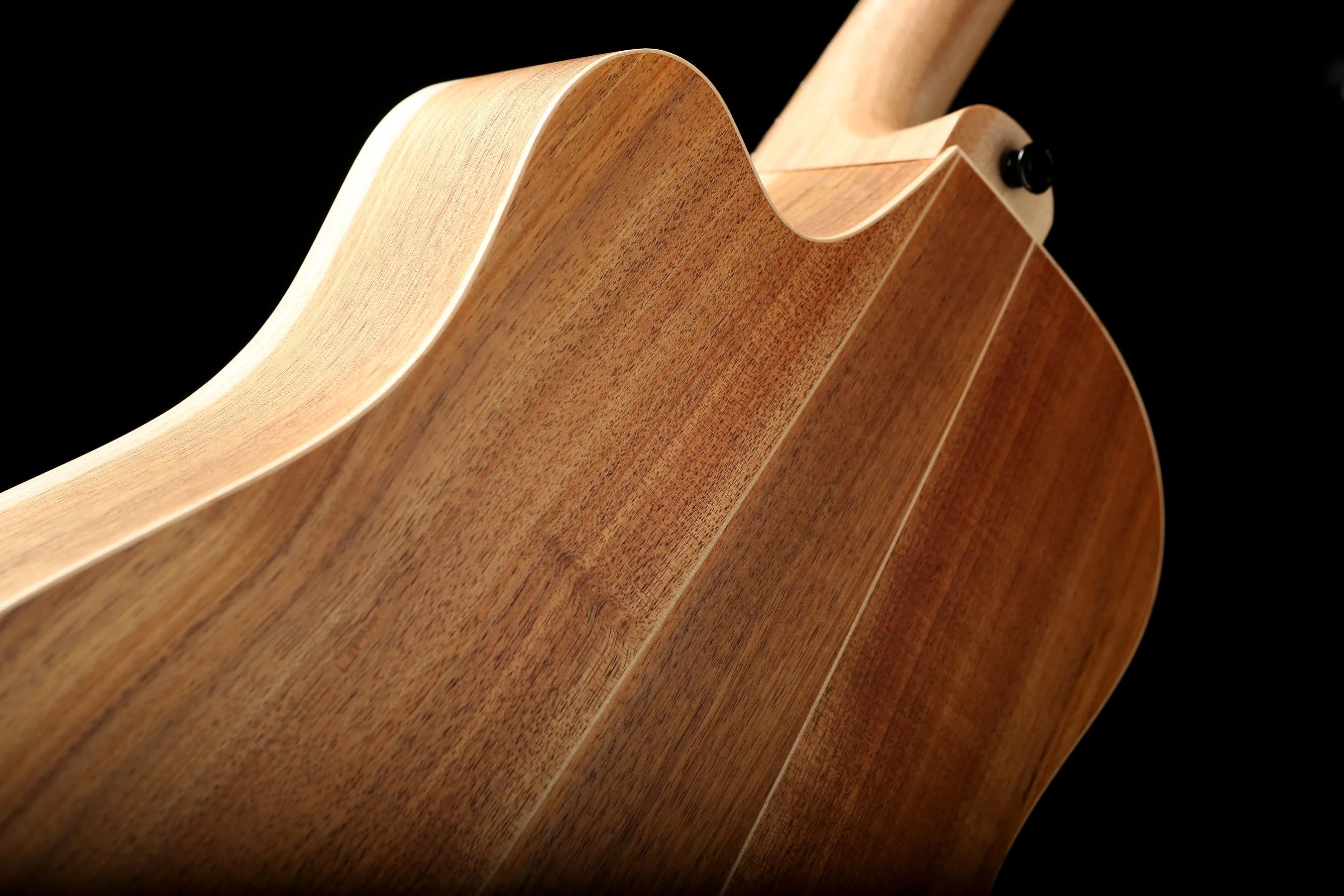 Cole Clark 'Fat Lady' FL2EC Blackwood / Blackwood Humbucker Acoustic Electric Guitar - Image 8