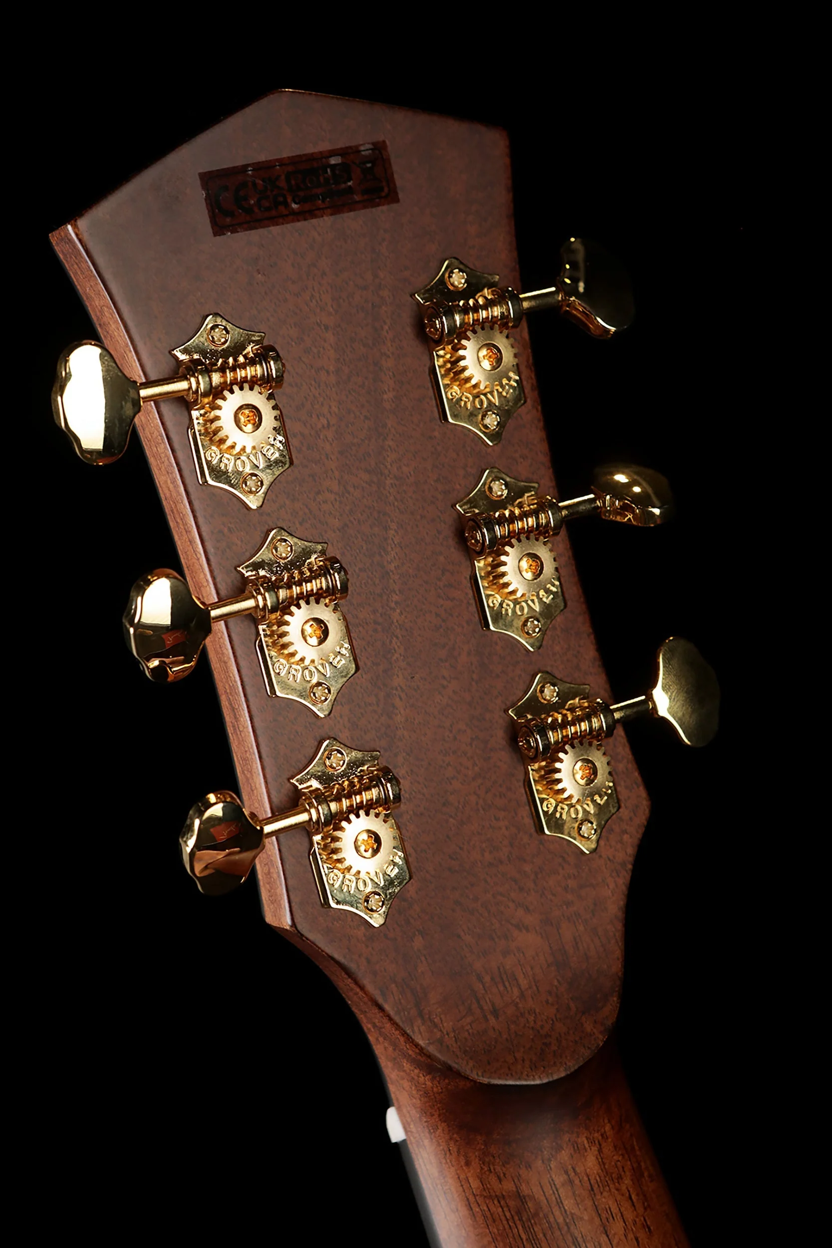 Cort Gold-A6 Bocote Acoustic Electric Guitar - Image 14