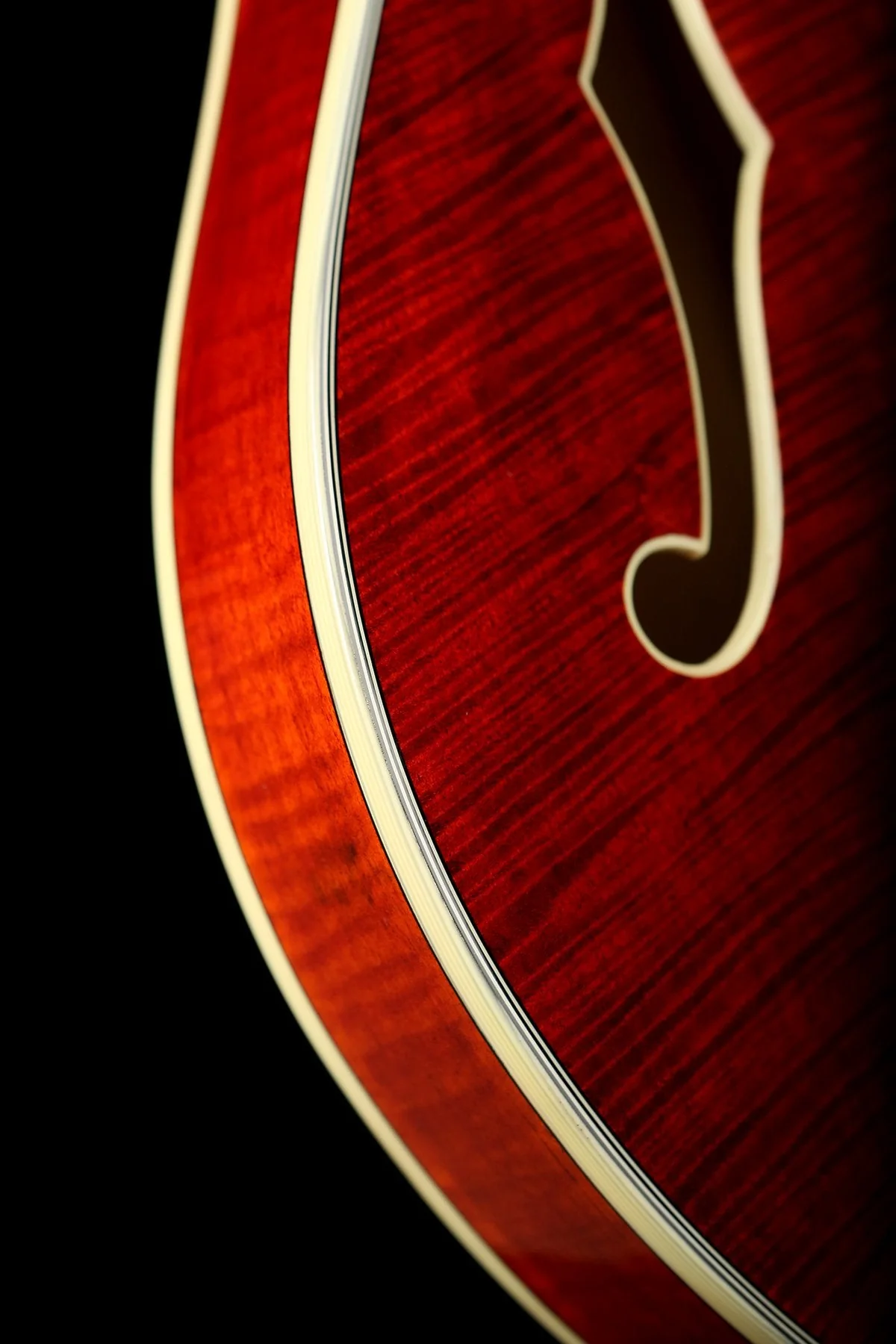 Eastman T486B Electric guitar - Image 6