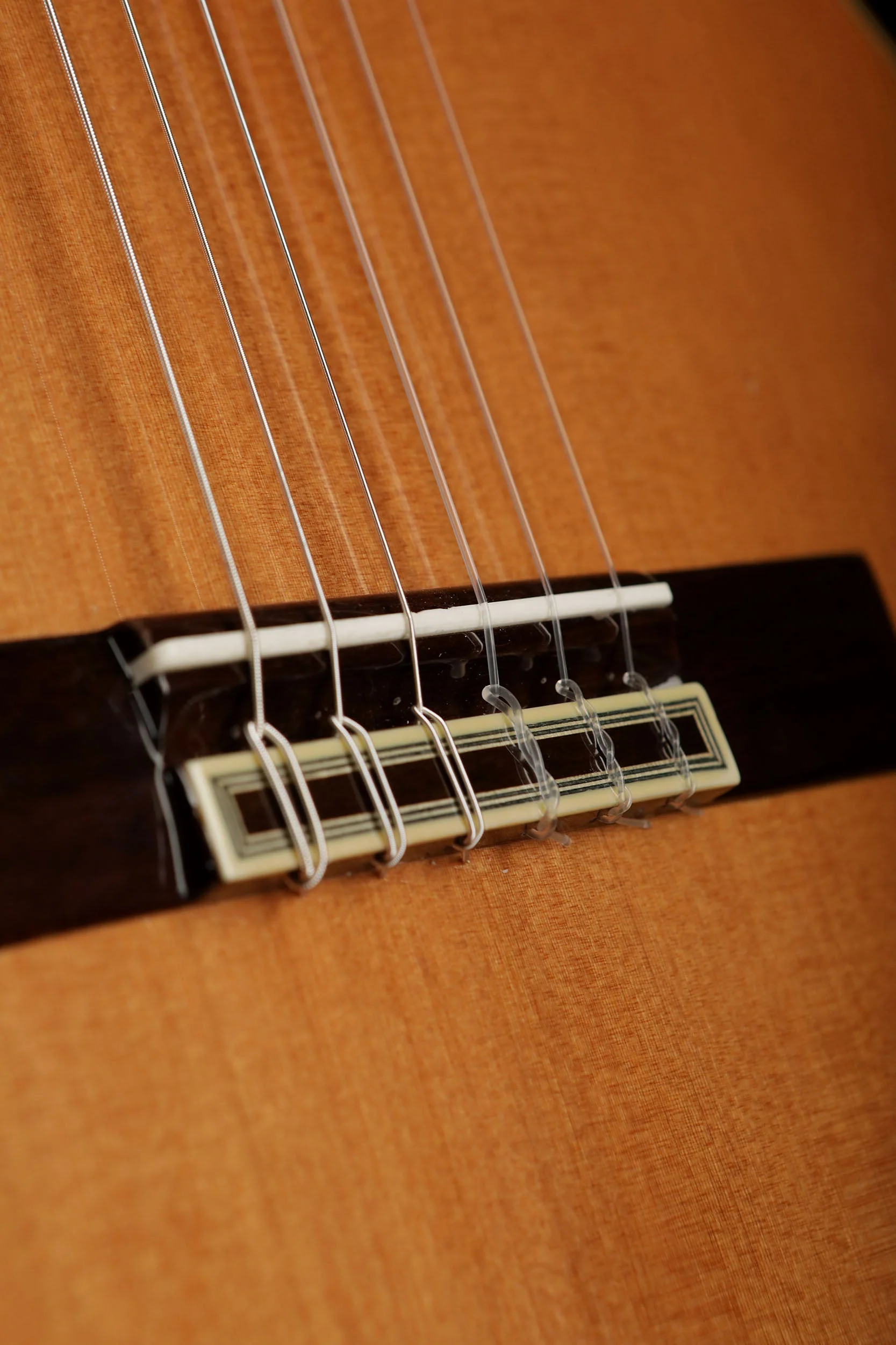 Esteve 7C/B 'Cedar / Cocobolo' Classical Guitar - Image 3