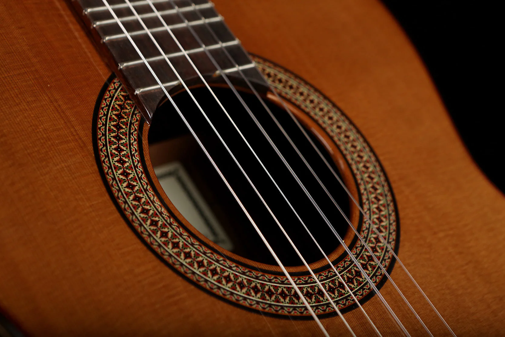 Altamira N300MT Microtonal Classical Guitar - Image 6