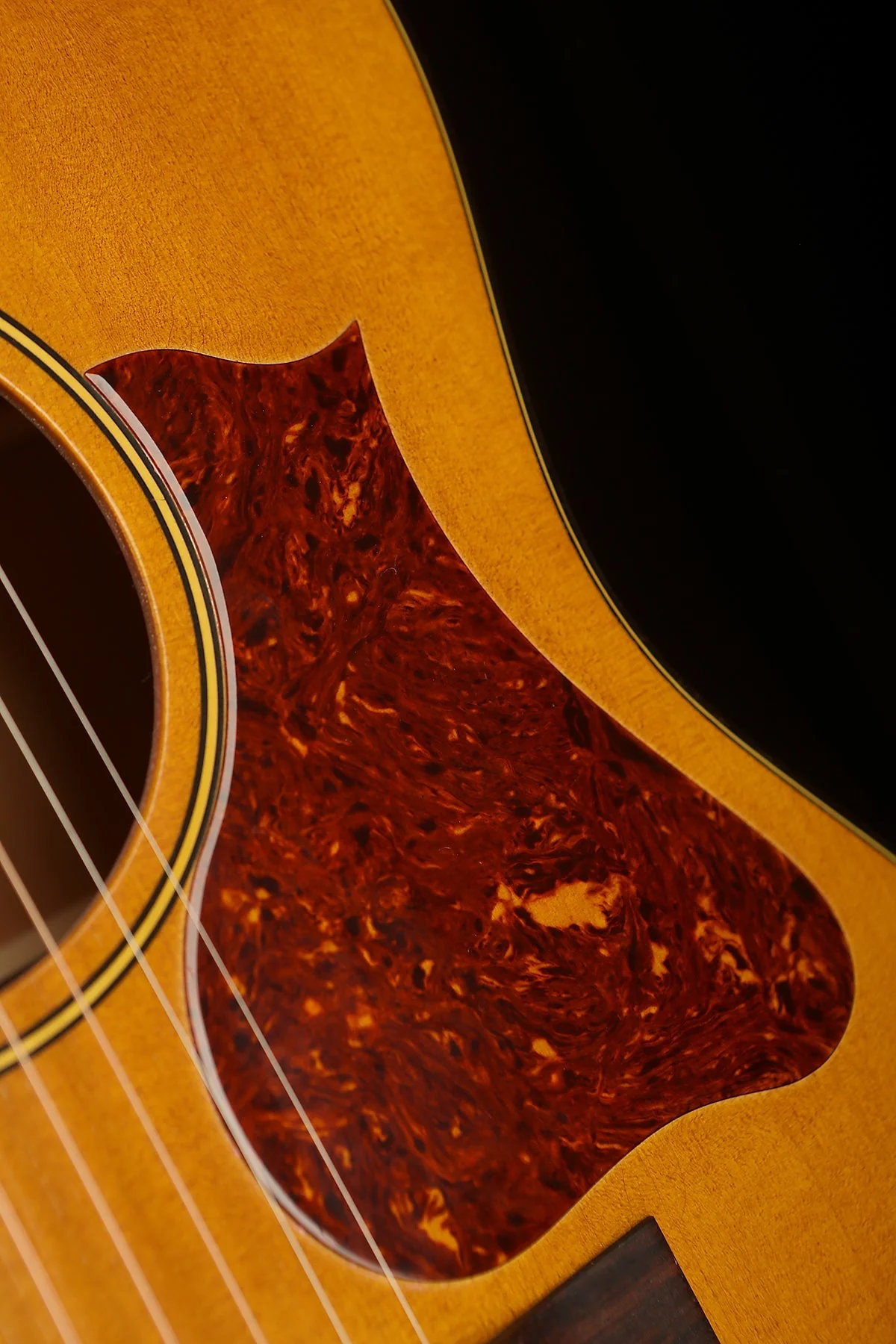 Iris OG 'Relic Natural' Acoustic Guitar - Image 5