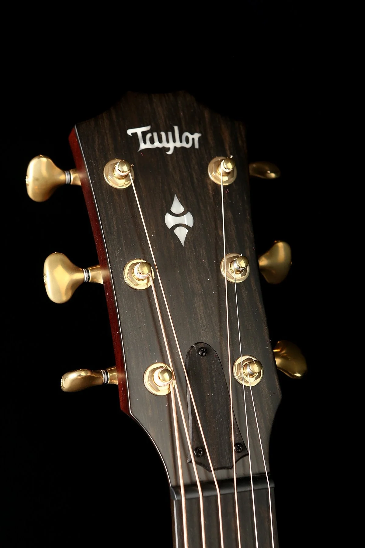 Taylor 324ce Builder's Edition V-Class Acoustic Electric Guitar - Image 9